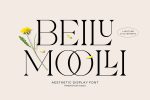 Beilu Moolli