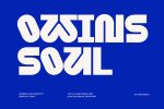Owins Soul
