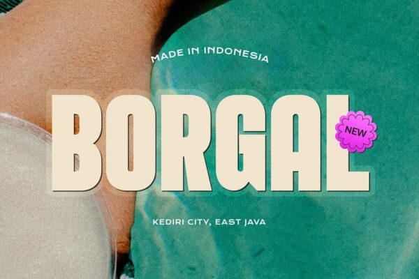 Borgal - Image 5